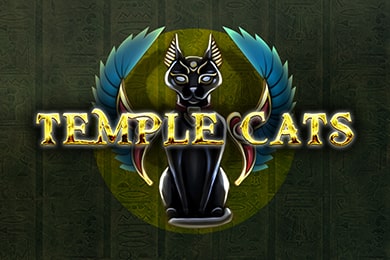 Templecats играть в Мартин Казино